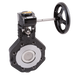 2.1/2" Pn40 L+T Bfly Vv Cs/Ss/Rtfe Gear