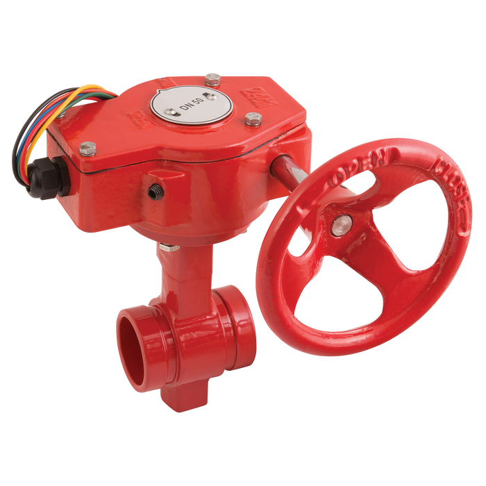 2.1/2" Di Grvd Fire Rise Bv Di+Epdm Disc