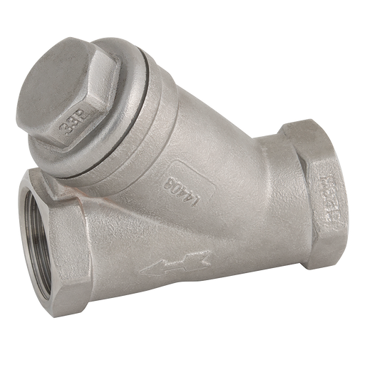 "2"" Bsp Ss Y Strainer 800Wog"
