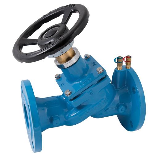 "2"" Pn16 Flanged Ci Double Reg Valve"