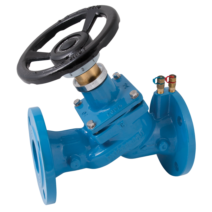 "3"" Pn16 Flng Ci Dou Reg Vlv C/W T/Pnt"