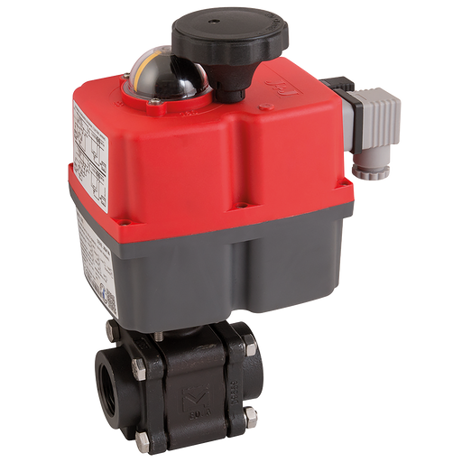 "2"" Bsp Cs Fsas Bv F/W J4Cs55 Mv Act"