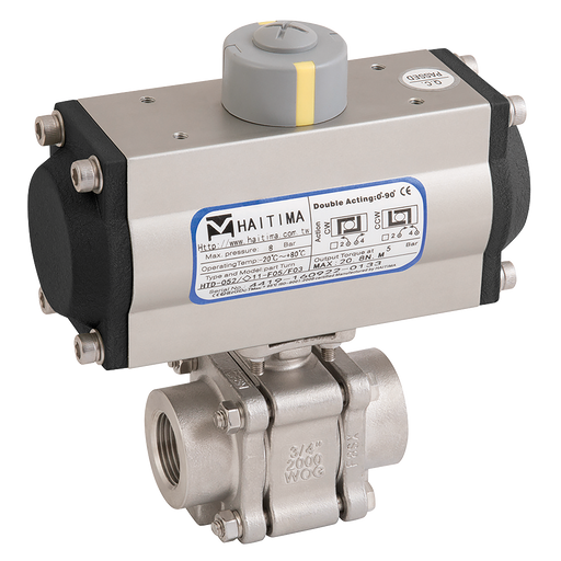3" Bsp Ss 3Pc Fsas Bv F/W Haitima Da Act