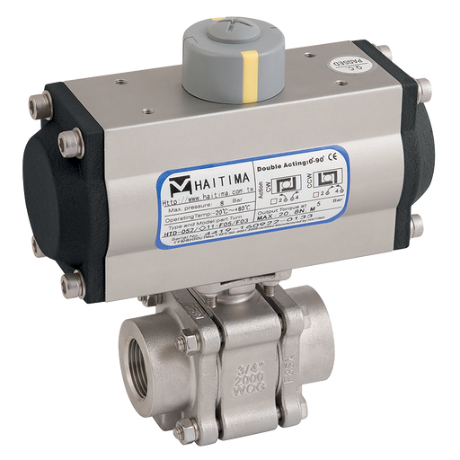 1" Bsp Ss 3Pc Fsas Bv F/W Haitima Sa Act