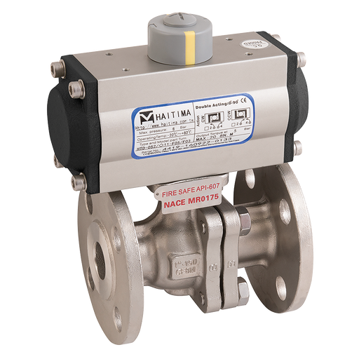 2" Asa150 Ss Fsas Fbbv F/W Hait Da Act