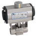 1/4" Bsp Ss 6K Rbbv F/W Haitima Sa Act