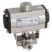 1/4" Bsp Ss 6K 3Wl Bv F/W Hait Da Act