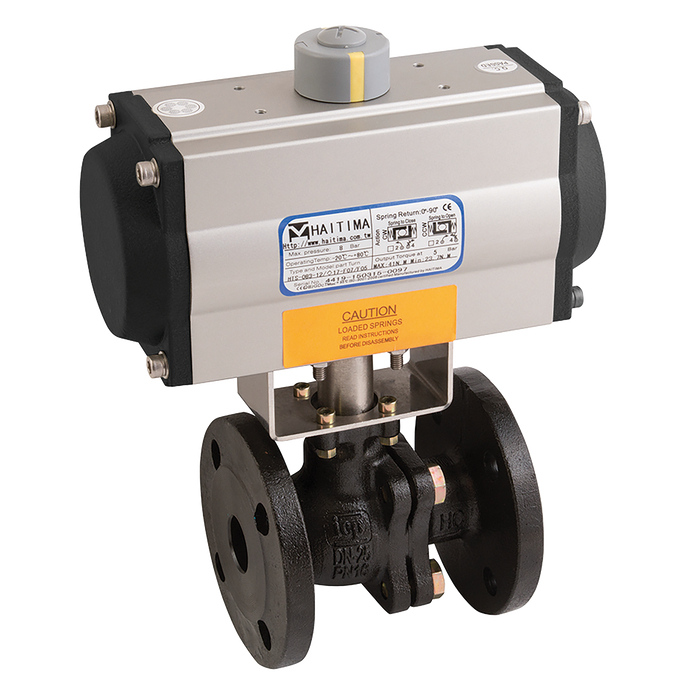 6" Pn16 Ci Bv Atex F/W Haitima Da Act