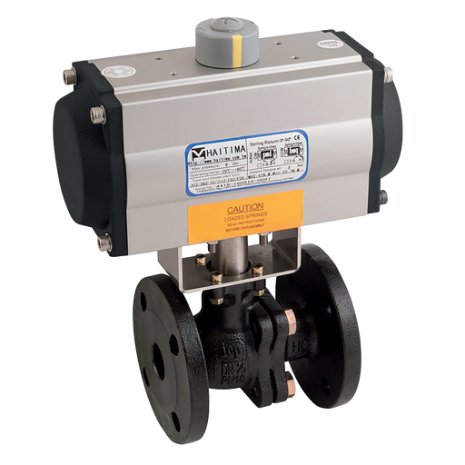 1.1/2" Pn16 Ci Atex Bv Haitima Sa Act