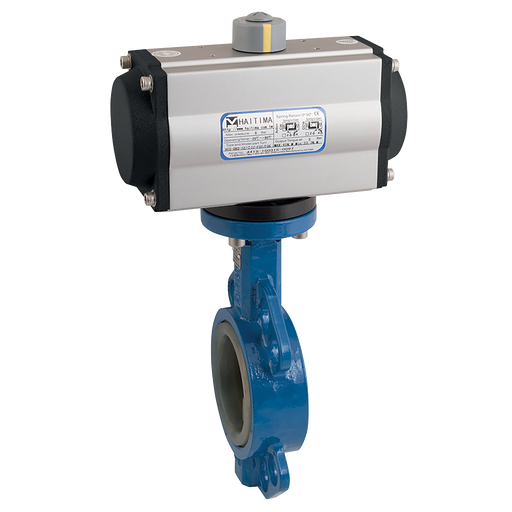 2" Wafer Bfly Ss/Sil F/W Hait Sa Act