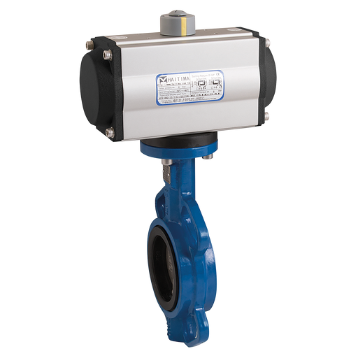 2.1/2" Wafer Bfly Ss/Fpm F/W Hait Sa Act