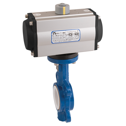 2" Wafer Bfly Ss/Pt F/W Hait Da Act