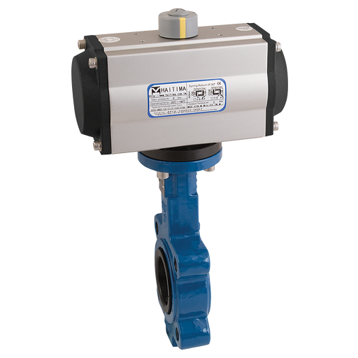 2.1/2" Pn16 Cs L+T Bfly Fpm Hait Da Act