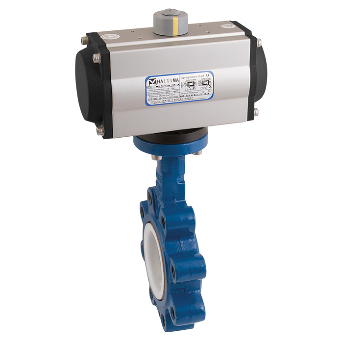 5" Pn16 L+T Bfly Fw Ss/Pt Hait Sa Act