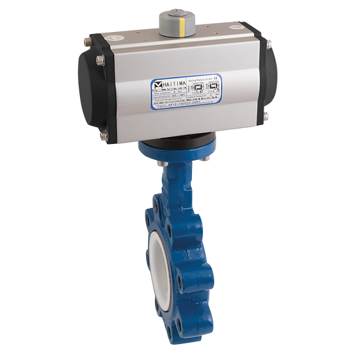 12" Pn16 L+T Bfly Fw Ss/Pt Hait Sa Act