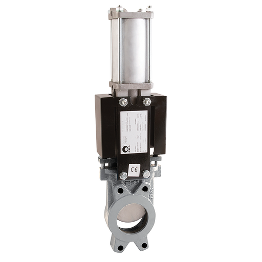 2" Pn10 Ss Kgv 316Ss/Epdm D/Acting