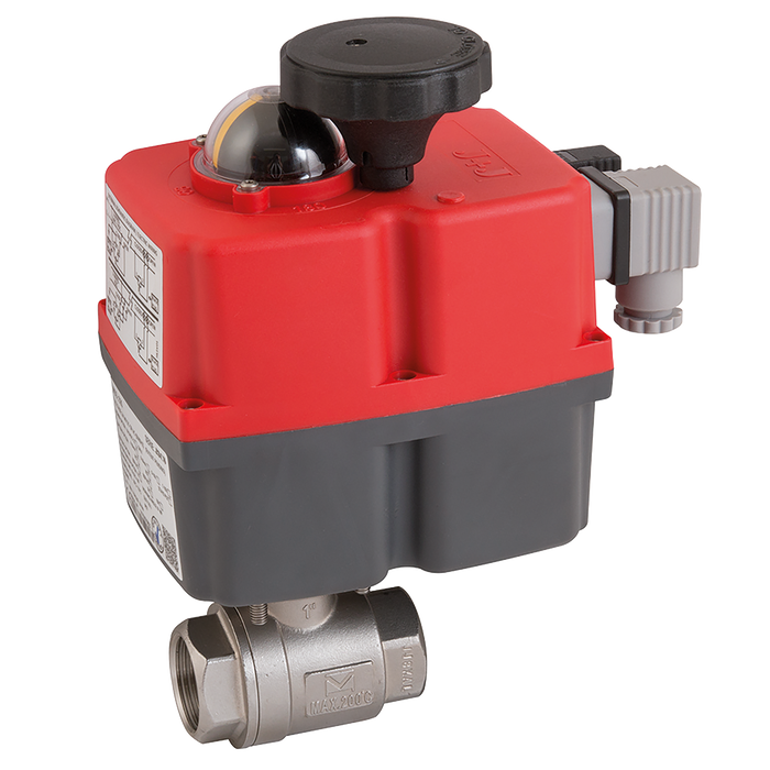 "2"" Bsp Ss 2Pce Fbbv F/W J4Cs55 Mv Act"