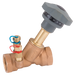 "2"" Bsp Bronze Static Balancing Valvepn25"
