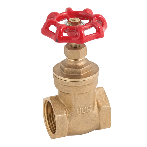 "2"" Bspt Pn20 Brass Gate Valve"