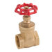 "2"" Bspt Pn20 Brass Gate Valve"