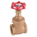 "1"" Bronze Pn25 Rated Gate Valve"