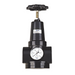 Titan AC9 Series Filter Regulator | 2'' Port Size G | 1/4" Gauge Thread G | 17500 Max Flow L/min  | AR900-20 - FluidAirFittings