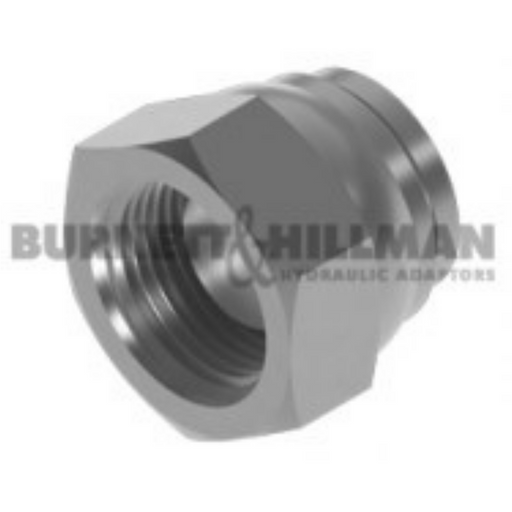 Burnett HillmanSwivel Blanking Cap | BSPP Female 1/8" | BUH-09180 - FluidAirFittings