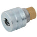 Schrader Standard Duty Couplings 17 Series | 1/4" BSPP Female | 8952DL-12 - FluidAirFittings