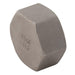 Stainless Steel Cap Female Plug | 1.1/4" BSPP Female | SSCAP20 - FluidAirFittings