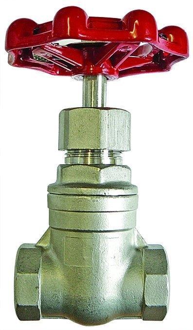 Stainless Steel Gate Valve - Female BSP. | 3/8" | SSVGA08 - FluidAirFittings