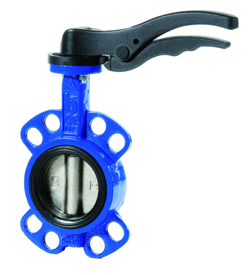 BE Range - Stainless Steel Swing Check Valve | 6" | BE6800-08 - FluidAirFittings